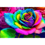 Diamond Painting-Regenbogenrose