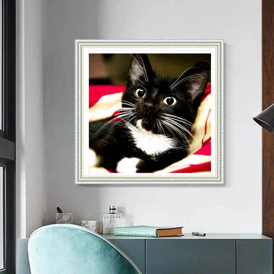 Diamond Painting-Charmante Tuxedo-Katze
