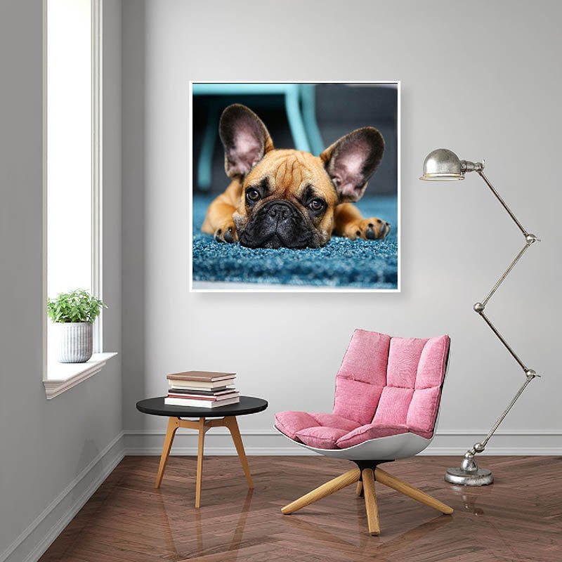 AB Diamond Painting-Turtle Family