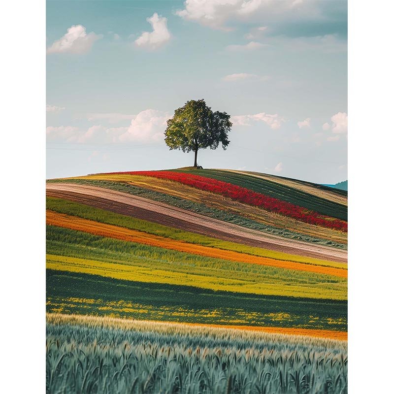 Diamond Painting- Farbenfrohe Felder