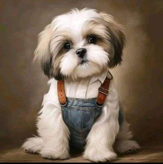 Diamond Painting-Hund im Overall - Jetzt bei diamondspainting kaufen