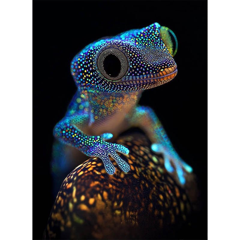 Diamond Painting-Leuchtender Gecko im Dunkeln