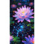 Diamond Painting-lila Lotusblume