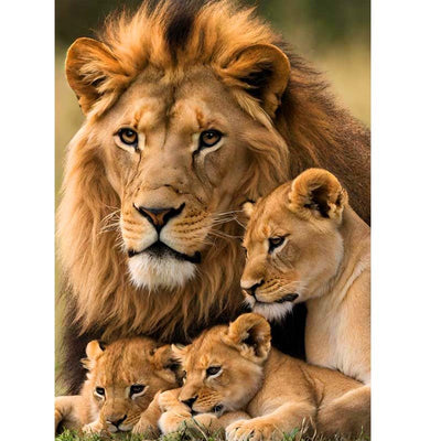 AB Diamond Painting-Starry Sky