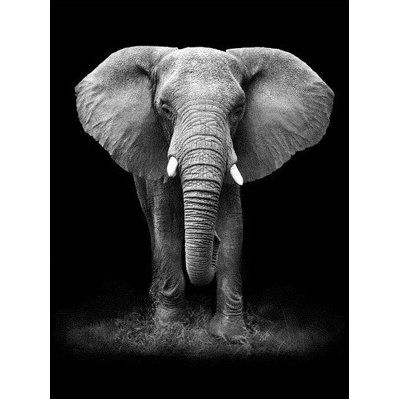 AB Diamond Painting-Starry Sky