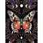 Diamond Painting-Mondlicht-Schmetterling