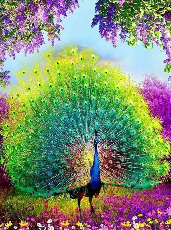 Diamond Painting-Prächtiger Pfau im Blütenmeer
