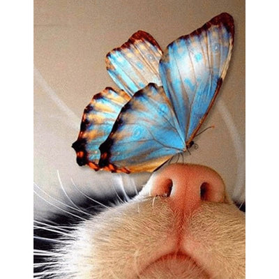 Diamond Painting-Schmetterling auf der Katzennase