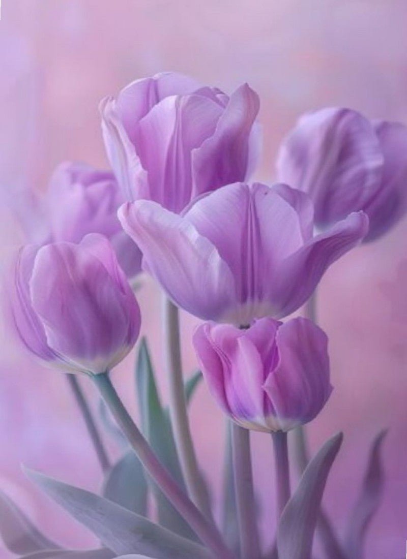 Diamond Painting - Violette Tulpen - diamondspainting