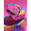 Voll AB Diamond Painting-Regenbogenschlange